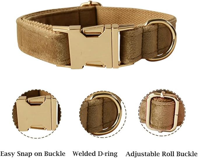 JAY D.L Dog Collar and Leash Set，Soft & Comfy Velvet Dog Collars with Heavy Duty Metal Buckle and Matching Lead Adjustable for Small Medium Large Dogs (Small, Khaki)