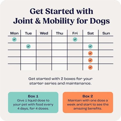 Summit Canine Joint and Mobility Supplement for Small Dogs, All Natural Liquid Chondroitin with Liposomal Delivery for Arthritis, Hip & Joint Support Vitamin, (Dogs <25lbs)