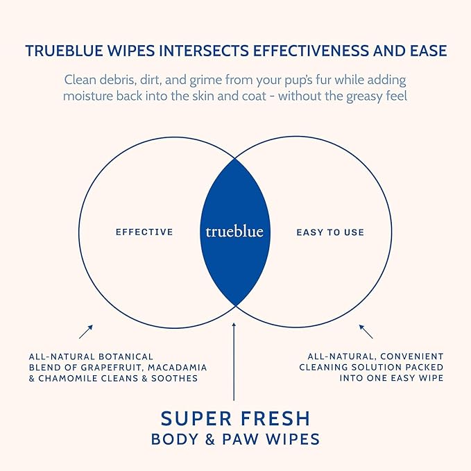 TrueBlue Super Fresh Body and Paw Wipes for Dogs and Puppies - Clean Dirty Paws and for deodorizing - Extra Large, Non-Toxic - 8"x7" - 100 Count