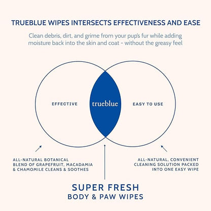 TrueBlue Super Fresh Body and Paw Wipes for Dogs and Puppies - Clean Dirty Paws and for deodorizing - Extra Large, Non-Toxic - 8"x7" - 100 Count