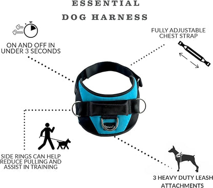 ShawnCo Essential Dog Harness, No-Pull Pet Vest with 3 Leash Clips, No Choke, Reflective, Adjustable and Padded, for Easy Walking and Training for Small, Medium and Large Dogs (Freckle's Garden, XL)