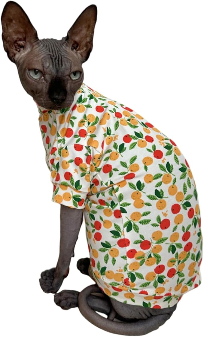 Limited Edition Sphynx Cat T-Shirts Elastic Hairless Cat Sweatshirt Pet Kitten Clothes Round Collar Kitten Shirts Vest Cats & Small Dogs Apparel (Kumquat, M (5.5-6.6 lbs))