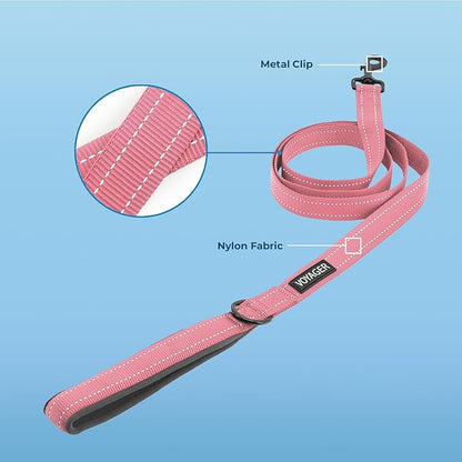 Best Pet Supplies Voyager Reflective Dog Leash or Collar with Neoprene Handle, for Small, Medium, and Large Breed Puppies, Cute and Heavy Duty for Walking, Running and Training - Pink Leash, L