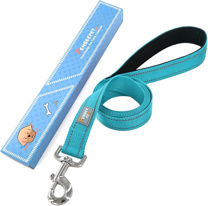 Dog Leash 6 FT Padded Handle Nylon Reflective Dogs Leashes for Small Dogs Sky Blue