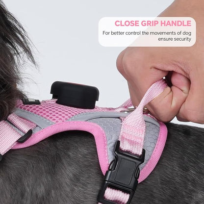 Cat Harness and Leash Set with AirTag Holder: Upgraded Escape Proof Vest with Lead for Small Dog Puppy Large Cat Walking，Soft Breathable Mesh Coat with Reflective Strip (Pink, L)