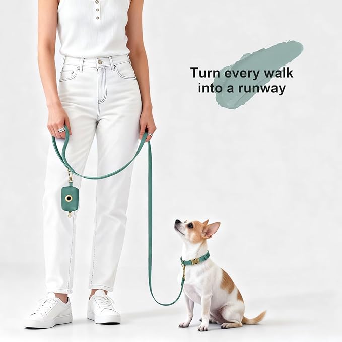 Didog Stylish PU Leather Dog Leash for Small Dogs, Easy to Clean 5ft Small Dog Leash with Metal Tangle-Free Clip, Fashionable and Elegant for Walking, Running and Training,Green, S