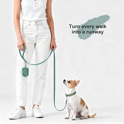 Didog Stylish PU Leather Dog Leash for Small Dogs, Easy to Clean 5ft Small Dog Leash with Metal Tangle-Free Clip, Fashionable and Elegant for Walking, Running and Training,Green, S