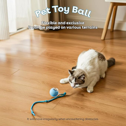 Interactive Cat Toys for Indoor Cats,The 3rd Generation Agile Moving Cat Ball with Elastic Mesh Tail,Automatic Kitten Toys for Bored Indoor Adult Cats,Motion Activated - Pack of 3 (Red, Green, Blue)