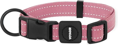 Best Pet Supplies Voyager Reflective Dog Leash or Collar with Neoprene Handle, for Small, Medium, and Large Breed Puppies, Cute and Heavy Duty for Walking, Running and Training - Pink, L
