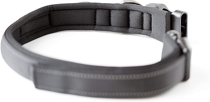 Mighty Paw Dog Collar - Neoprene Padded - Reflective for Running - Extra Comfort for Active Dogs - Padded and Comfortable Collar for All Breeds - Heavy Duty