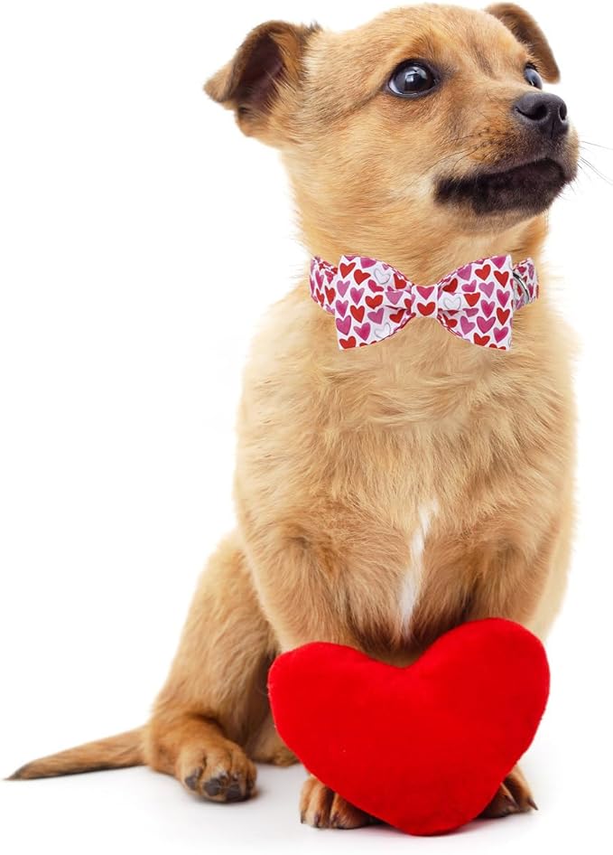 Lionet Paws Valentine's White Dog Collar, Cute Heart Dog Collar for Large Dogs, Adjustable Cotton Pet Collars for Medium Large Dogs
