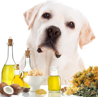 The Blissful Dog Paw Butter, Moisturizer for Dry Paw Pads, Softens and Protects a Rough Paw in Winter, Versatile, Lick-Safe Dog Paw Pad Balm 0.15 oz.