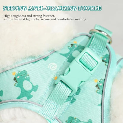 Step in Dog Harness and Leash Set, Flower Adjustable Easy Walk Puppy Harnesses, Soft Mesh No Pull Pet Vest Harness for Small Medium Dogs(Beige, S)