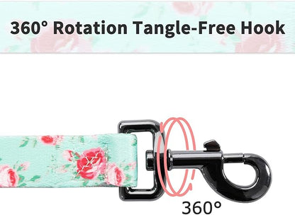 Ihoming Dog Collar and Leash Set for Daily Outdoor Walking Running Training, Floral Spring Design for Small Boys Girls Dogs Cats Pets, S-Up to 20LBS