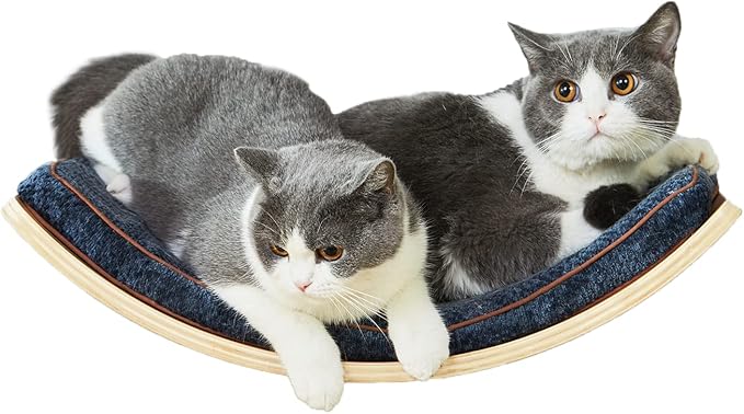 LIORCE Cat Shelf with Comfortable Cushion - Curved Modern Cat Bed (Large Size) - Lotus Leaf Design Cats Wall Perch - Wall Mounted Cats Furniture for Sleeping, Playing, Climbing, and Lounging