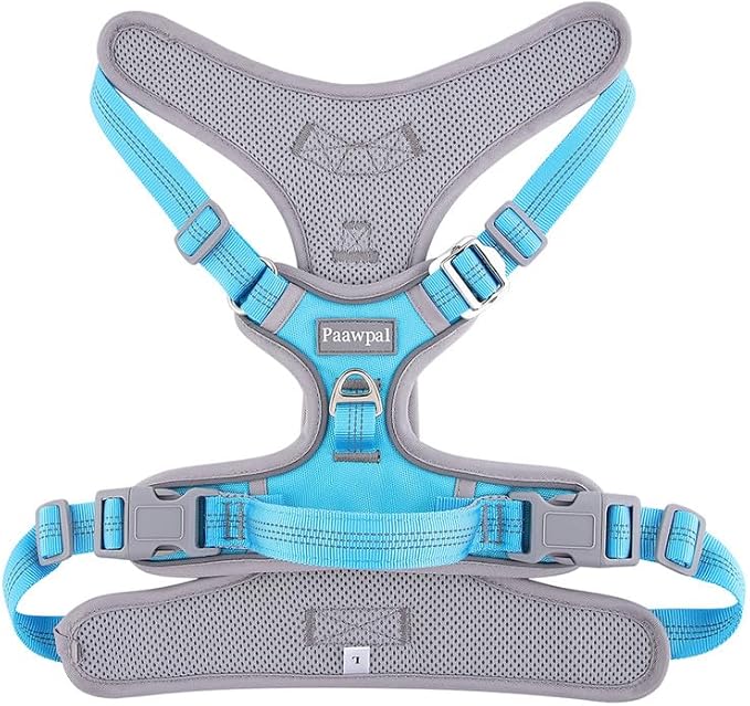 Paawpal Adjustable Dog Harness - No Pull, Reflective, Soft Padded for Small, Medium, Large Dogs - Includes Leash and Collar Turquoise S