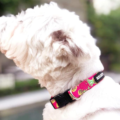 azuza Dog Collar and Leash Set, Pineapple Patterns on Nylon Collar and Matching Leash, Large Dog Collar for Large Dogs