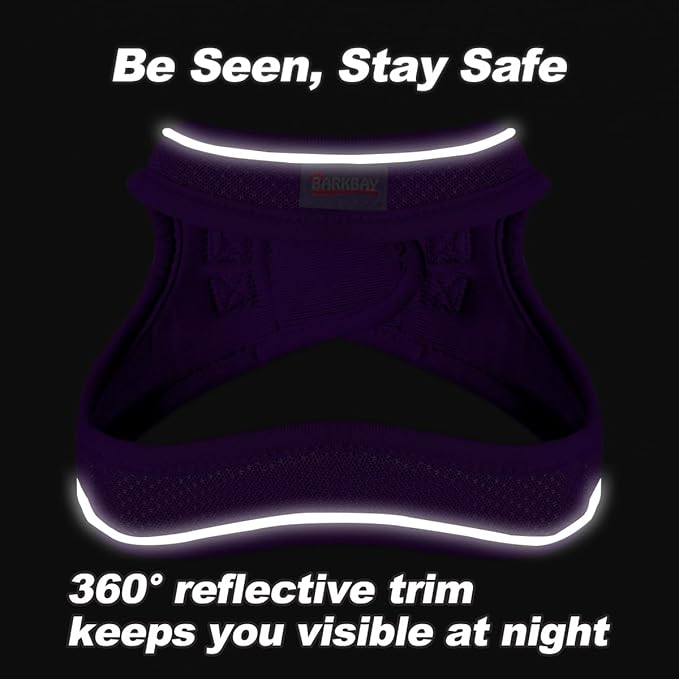 Dog Harness and Leash Set,Step in Small Sized Dog Harness,Soft Mesh,No-Chock,Reflective Adjustable,Secure with Hook & Loop Fastener,Puppy Vest for Small,Medium Dogs(Purple,L)