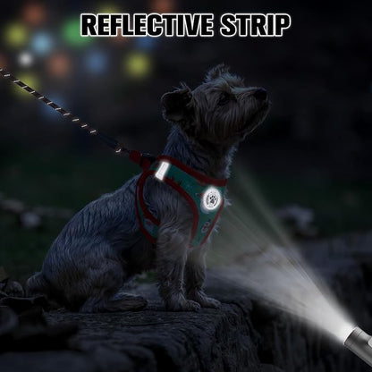 BEAUTYZOO Step in Dog Harness and Leash Set,Reflective Dog Harness No Pull No Choke Puppy Harness for Small Medium Large Dogs Cats,Soft Padded Mesh Vest Harnesses for Girl and Boy Pets,Christmas M