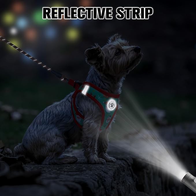 BEAUTYZOO Step in Dog Harness and Leash Set,Reflective Dog Harness No Pull No Choke Puppy Harness for Small Medium Large Dogs Cats,Soft Padded Mesh Vest Harnesses for Girl and Boy Pets,Christmas XS