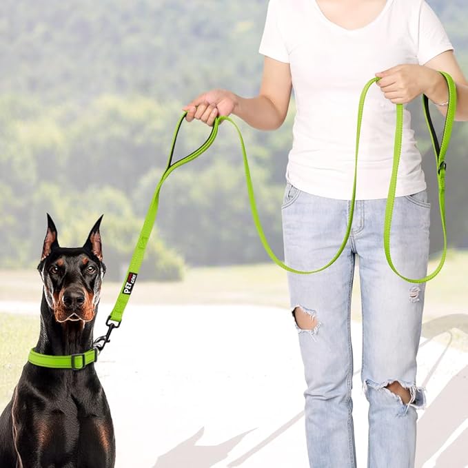 Plutus Pet Double Handle Dog Leash 4ft, Heavy Duty, Reflective Dual Handle Dog Leash for Safety Training, for Medium Large Dogs,2 Handle Leads(Green)