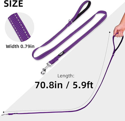 PUPTECK Reflective Dog Leash with Comfortable Padded Handle Durable Nylon Dog Lead for Small Medium and Large Dogs Cats Walking Running Training Outside, Purple