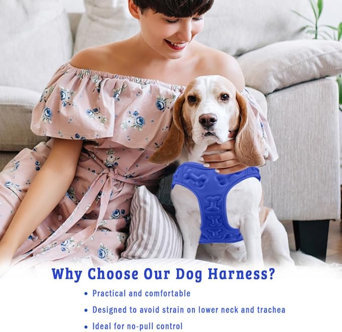 Comfort Fit Dog Harness Small Medium Sized Dogs No Pull Step in Dog Harness with Adjustable Buckles Soft Padded Easy Control Vest Harness Training Walking Running Extra Comfort Inside Velvet Plush