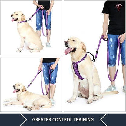 Plutus Pet Dog Leash 6ft Long, Traffic Padded Two Handle, Heavy Duty, Reflective Double Handles Lead for Control Safety Training, Leashes for Large Dogs or Medium Dogs, Dual Handles Leads (Purple)