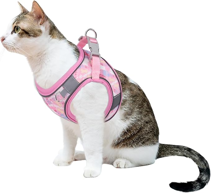 Step in Mesh Dog Harness & Leash Set - Breathable Air Mesh, Reflective, Escape Proof - No Choke, Lightweight - XXS (Neck:8.5"-9.5", Chest:10"-11.5"), Rose Red