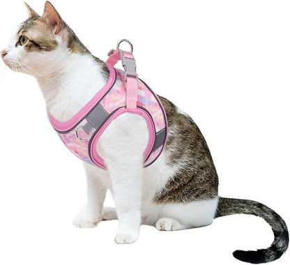Step in Mesh Dog Harness & Leash Set - Breathable Air Mesh, Reflective, Escape Proof - No Choke, Lightweight - XXS (Neck:8.5"-9.5", Chest:10"-11.5"), Rose Red