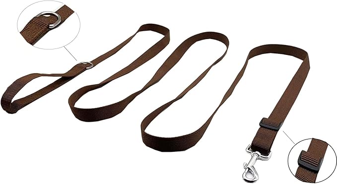 6FT/ 10FT Adjustable Dog Leash, Nylon Dog Leashes for Medium Large Dogs (10FT, Brown)