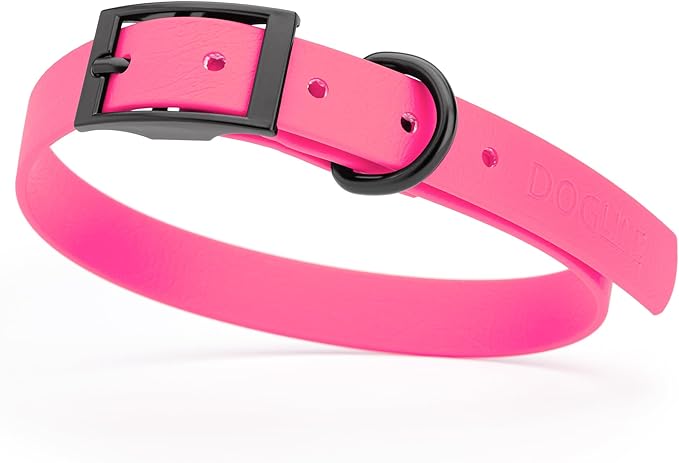 Dogline Biothane Waterproof Dog Collar Strong Coated Nylon Webbing with Black Hardware Odor- Proof for Easy Care Easy to Clean High Performance Fits Small Medium or Large Dogs, Passionfruit Pink