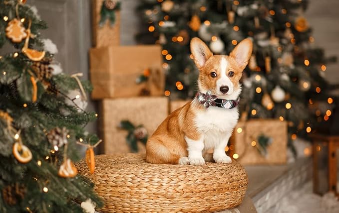 ARING PET Christmas Dog Collar, Cute Xmas Red Green Plaid Detachable Flower Pet Collar with Metal Buckle for Puppy Small Medium Large Boy Girl Dog-M