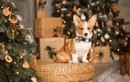 ARING PET Christmas Dog Collar, Cute Xmas Red Green Plaid Detachable Flower Pet Collar with Metal Buckle for Puppy Small Medium Large Boy Girl Dog-S