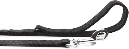 Strong Nylon Dog Leash with 2-Layer, 4 FT/ 6 Feet Long, 1 Inch Wide for Medium Large Dogs (1'' x 5 FT, Black)