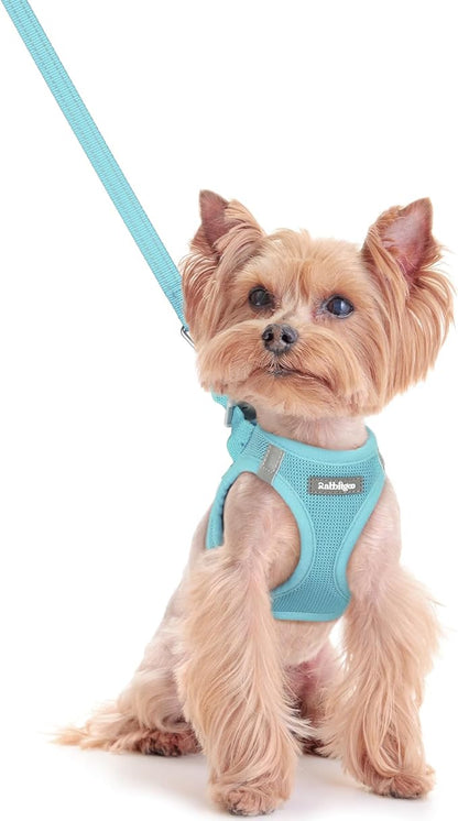 rabbitgoo Dog Harness Small Sized and Leash Set, Step in Soft Light Puppy Vest, Breathable Mesh Pet Harness, Reflective for Safe Easy Walking, Mint Blue XXS