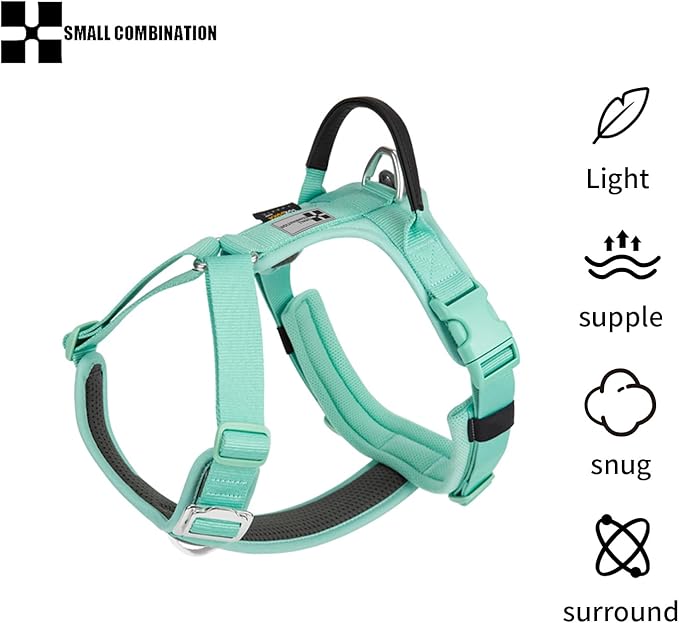 Adjustable Dog Harness with Handle, Padded Comfort,Small, Medium and Large Dogs (Aqua Green, M)