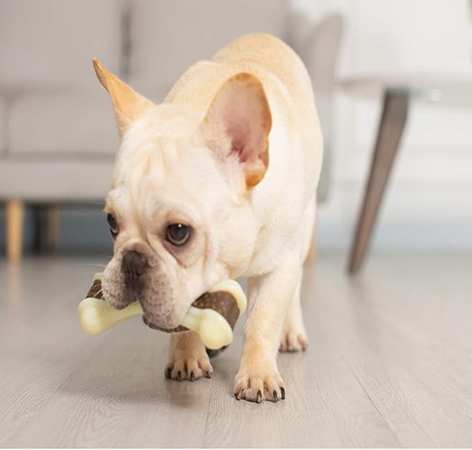 BETTEPROD Dog Chew Toys for Aggressive Chewers Large Breed,2 Pack Beef Flavor Indestructible Dog Teething Chew Toys Bones for Large/Medium/Small Puppies,Pet Toy with Nylon
