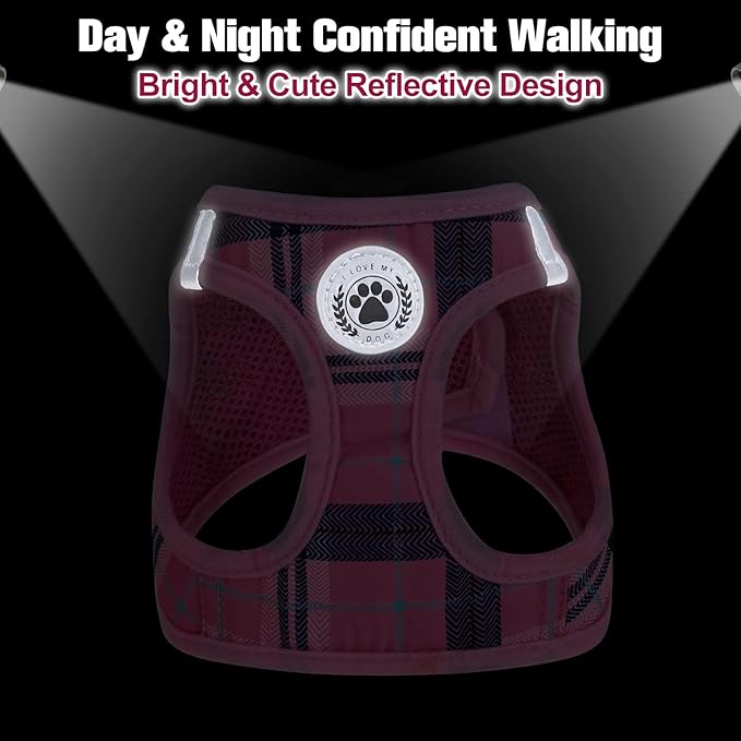 BEAUTYZOO Small Dog Harness and Leash Set,Step in No Choke No Pull Soft Mesh Dog Harnesses Reflective for Extra-Small/Small Medium Puppy Dogs and Cats, Plaid Dog Vest Harness for XS S Pets, Pink M
