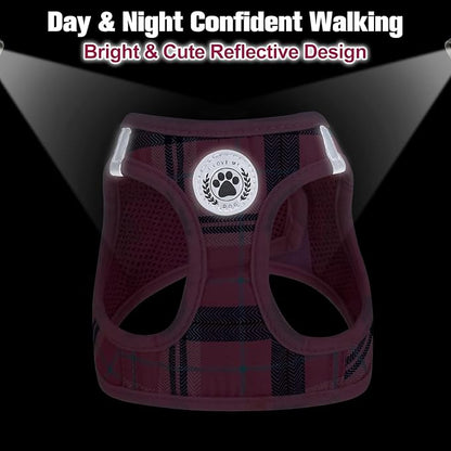BEAUTYZOO Small Dog Harness and Leash Set,Step in No Choke No Pull Soft Mesh Dog Harnesses Reflective for Extra-Small/Small Medium Puppy Dogs and Cats, Plaid Dog Vest Harness for XS S Pets, Pink M