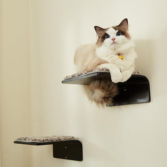 LIORCE 2 Set Cat Wall Steps - Wooden Cat Climbing Shelf for Wall - Cats Wall Stairs with Scratching Mat - Wall Mounted Cats Furniture for Jumping, Playing, and Lounging, Walnut
