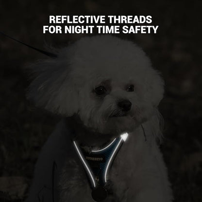 Dog Harness and Leash Set, Dog Harness for Dogs No Pull, No-Chock Step-in Reflective Breathable Lightweight Easy Walk Vest Harnesses with Safety Buckle for Small Medium Dogs, Cats (Blue, S)