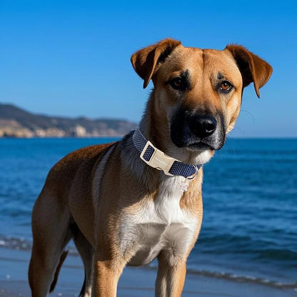 Lionet Paws Boy Dog Collar- Cute Navy Blue Dog Collars with Plastic Buckle, Light Adjustable Dog Collars for Medium Dogs