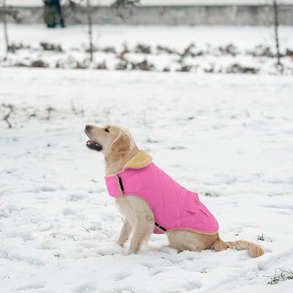 Winter Coat for Medium Dogs, Puppy Plaid Jacket, Cotton Coat for Cold Weather, Windproof Warm Dog Garments, Pet Thickened Outfits Indoor Outdoor, Pink M