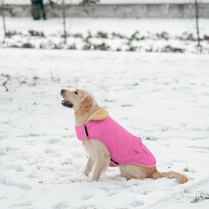 Large Dog Coat - Warm & Windproof Winter Jacket for Extra-Large Dogs - Pink, Golden Retriever to Husky Sizes