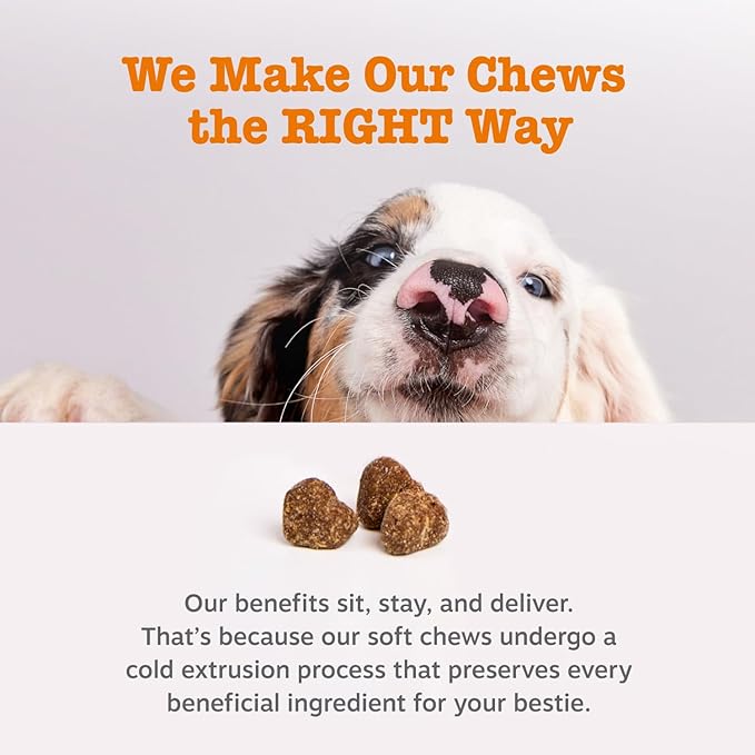Zesty Paws Vet Strength Probiotics for Dogs, Digestive Health & Gut Flora Support, Dog Supplements, 90 Count