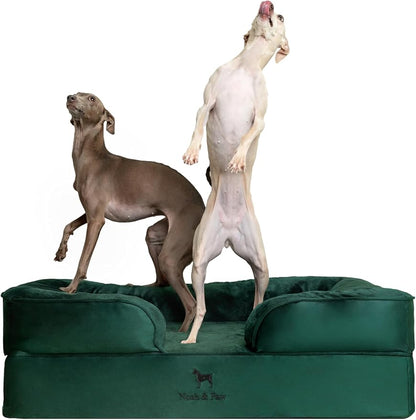 NOAH & PAW Large Dog Bed, 35x25x11 Inch, Orthopedic Dog Beds, Eggshell Memory Foam Infused with Cooling Gel, Inner Cover, Waterproof, Machine Washable (Velvet Sofa Collection)