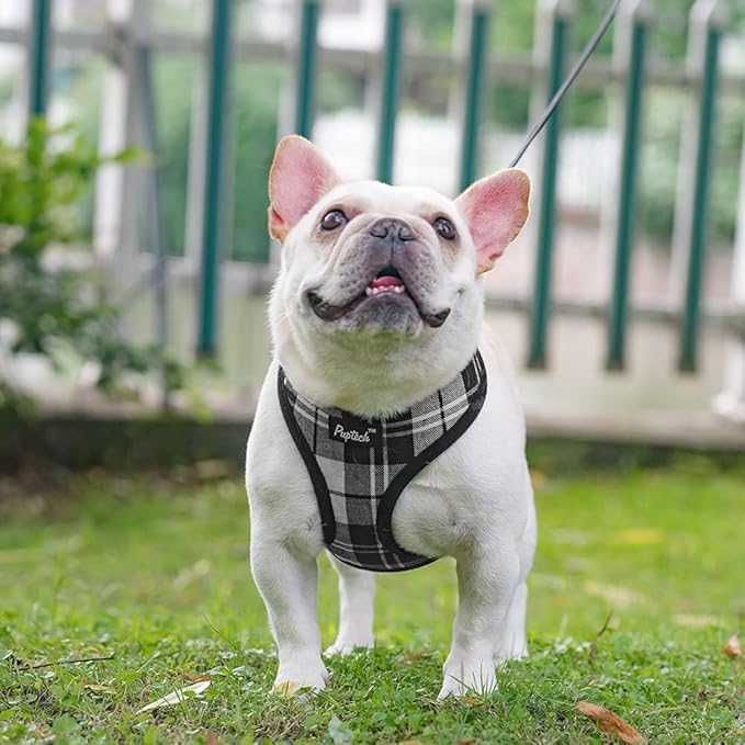 PUPTECK Soft Mesh Dog Harness and Leash Set Pet Puppy Cat Comfort Padded Vest No Pull Harnesses, Black&White, S