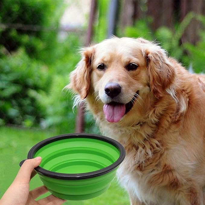 Large Dog Bowl Pet Collapsible Bowls, 2 Pack Collapsible Dog Water Bowls for Cats Dogs, Portable Pet Feeding Watering Dish for Walking Parking Traveling with 2 Carabiners (Large, Blue+Green)