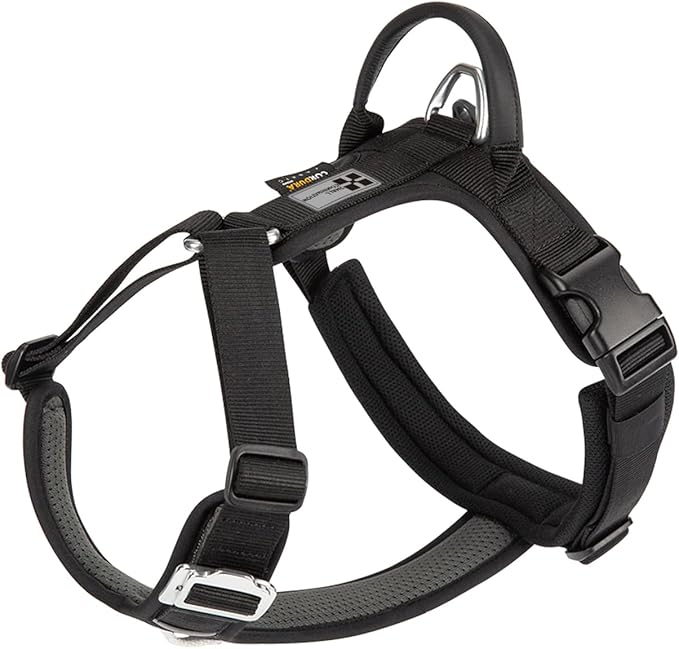 Adjustable Dog Harness with Handle, Padded Comfort,Small, Medium and Large Dogs (Black, XS)
